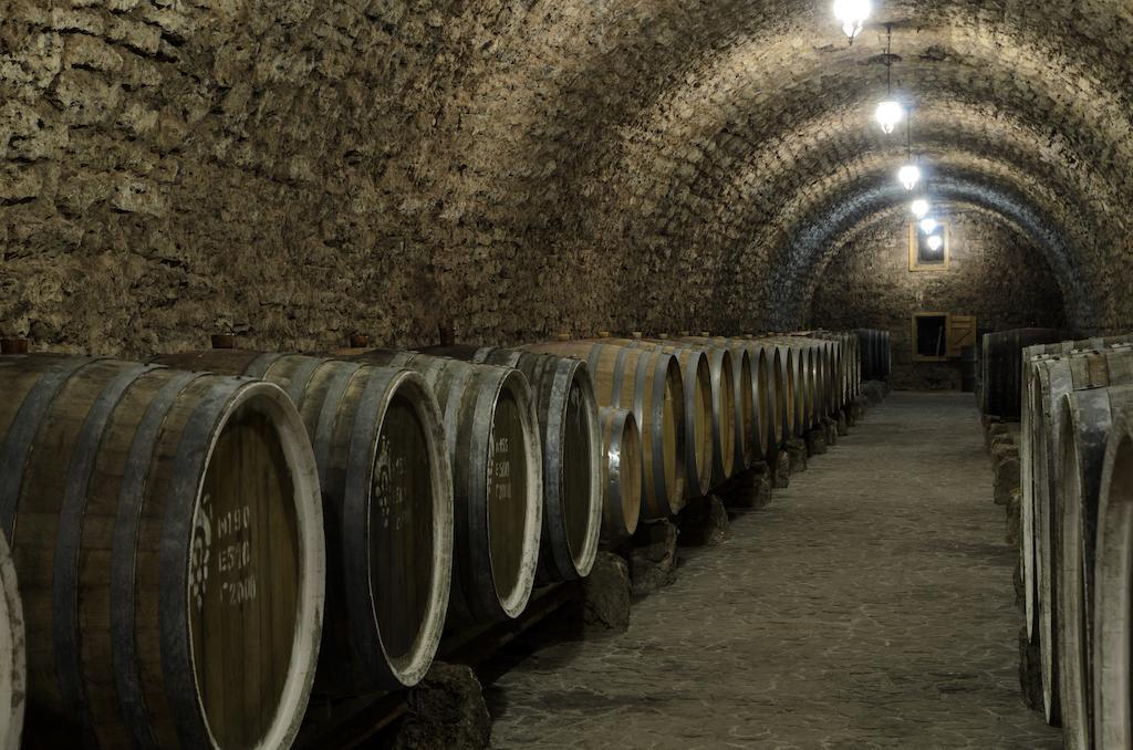 Prince Trubetskoi Winery Hotell Nova Kachovka Exteriör bild
